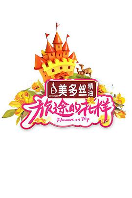旅途的花样 旅途的花样20170729期