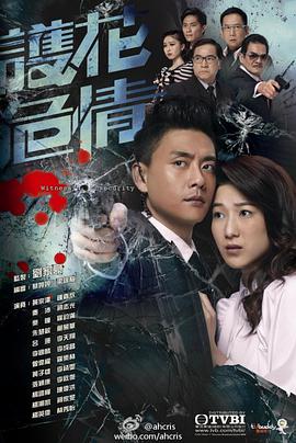 护花危情国语 第19集