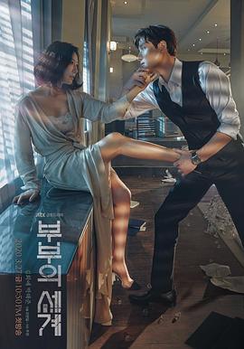 夫妻的世界 第13集