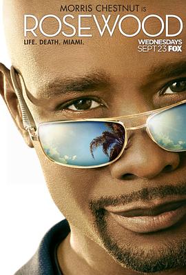 私家法医第一季 第15集