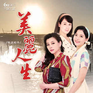 美丽人生台版 第243集