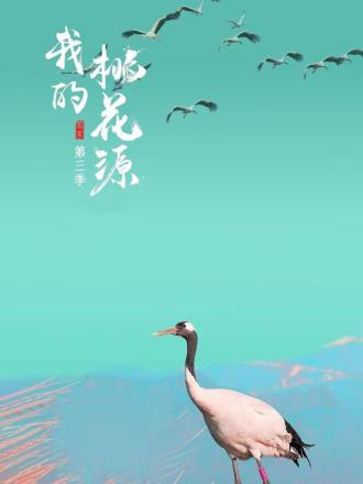 我的桃花源第三季 第13期