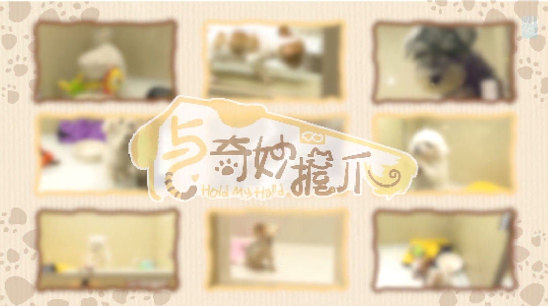 与奇妙握爪 第05集