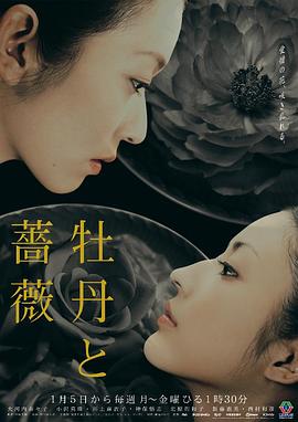 牡丹与玫瑰 第01集