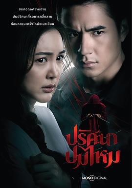 丝结之谜 第11集