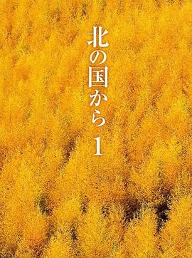 北国之恋 第15集