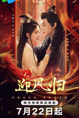 迎凤归 第12集