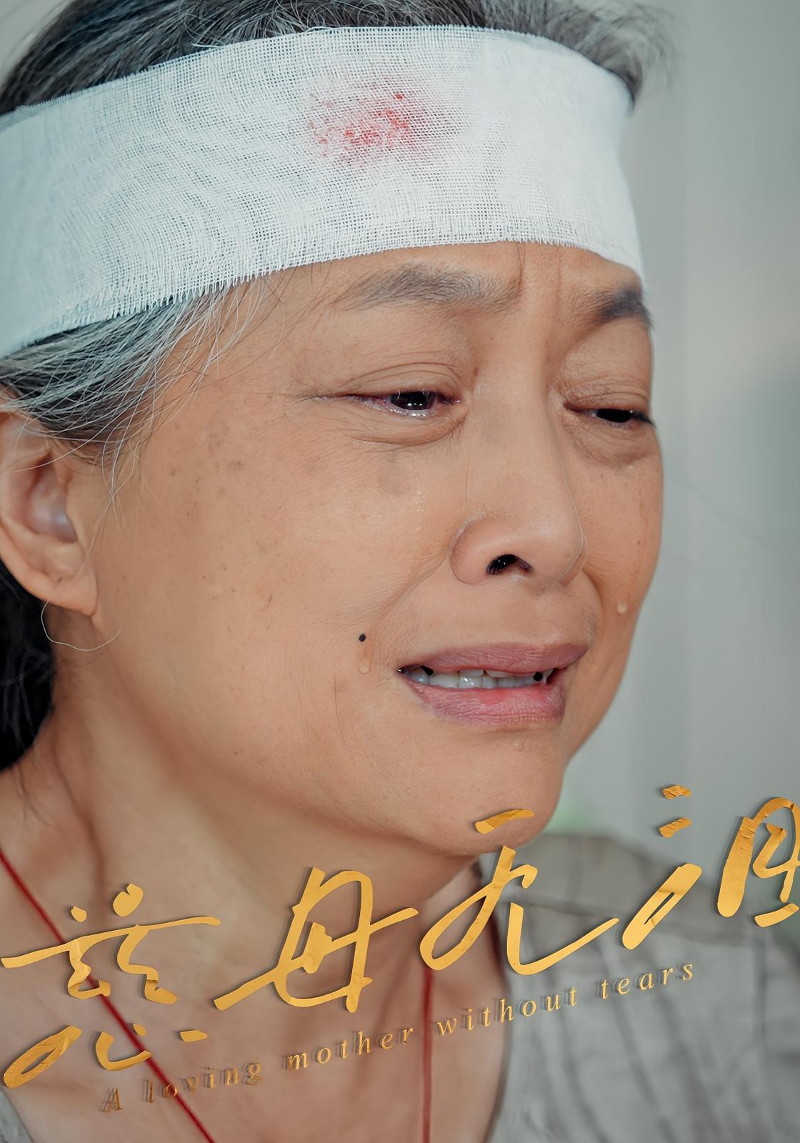 慈母无泪 第19集