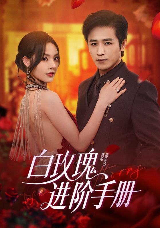 白玫瑰进阶手册 第51集