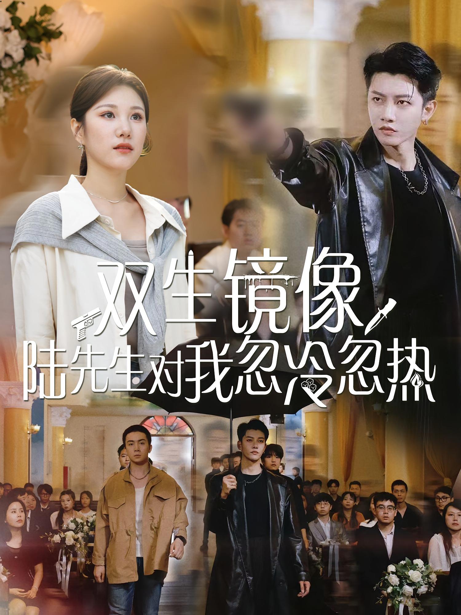 双生镜像陆先生对我忽冷忽热 第61集(大结局)