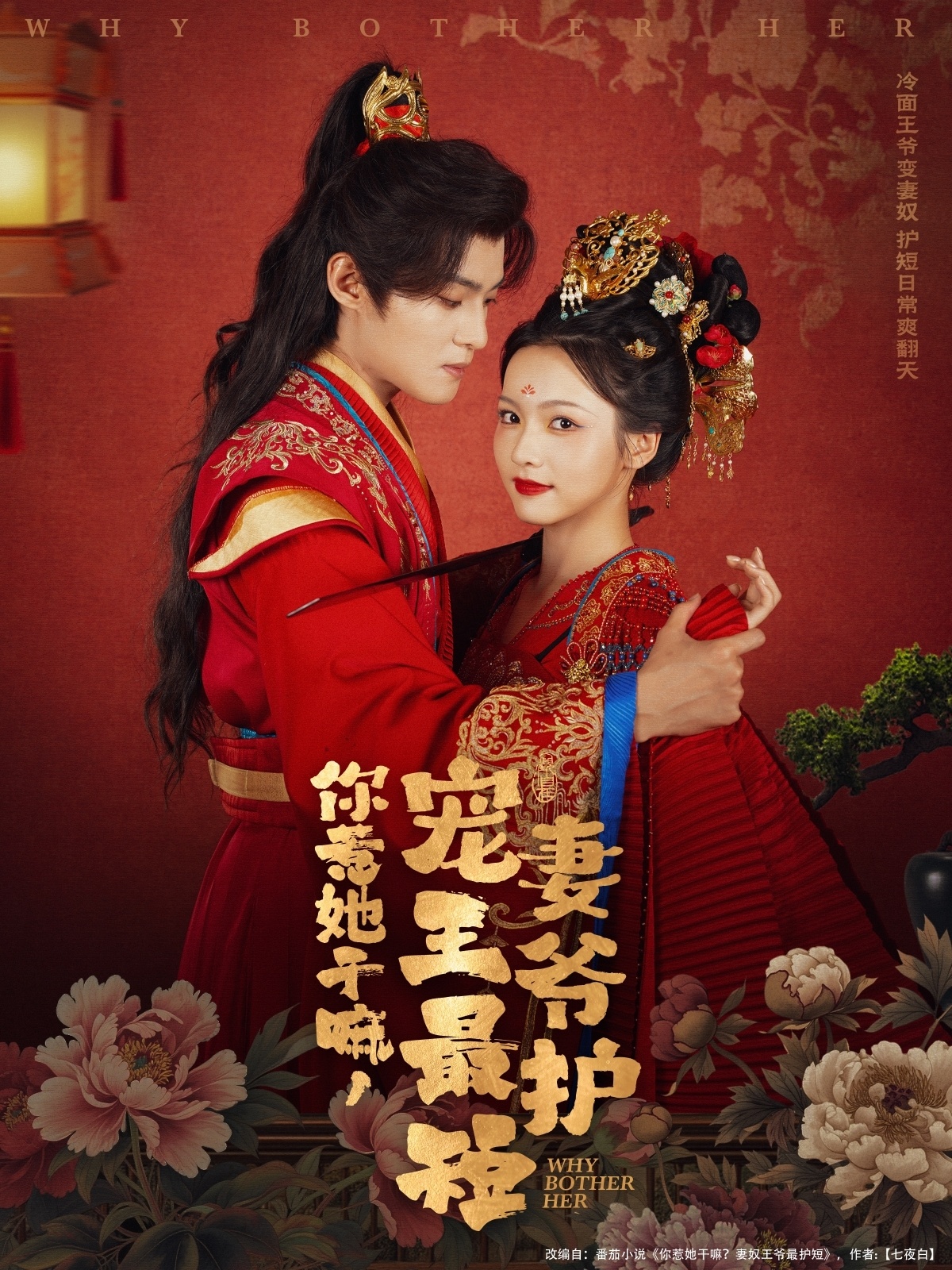 你惹她干嘛，宠妻王爷最护短 第03集