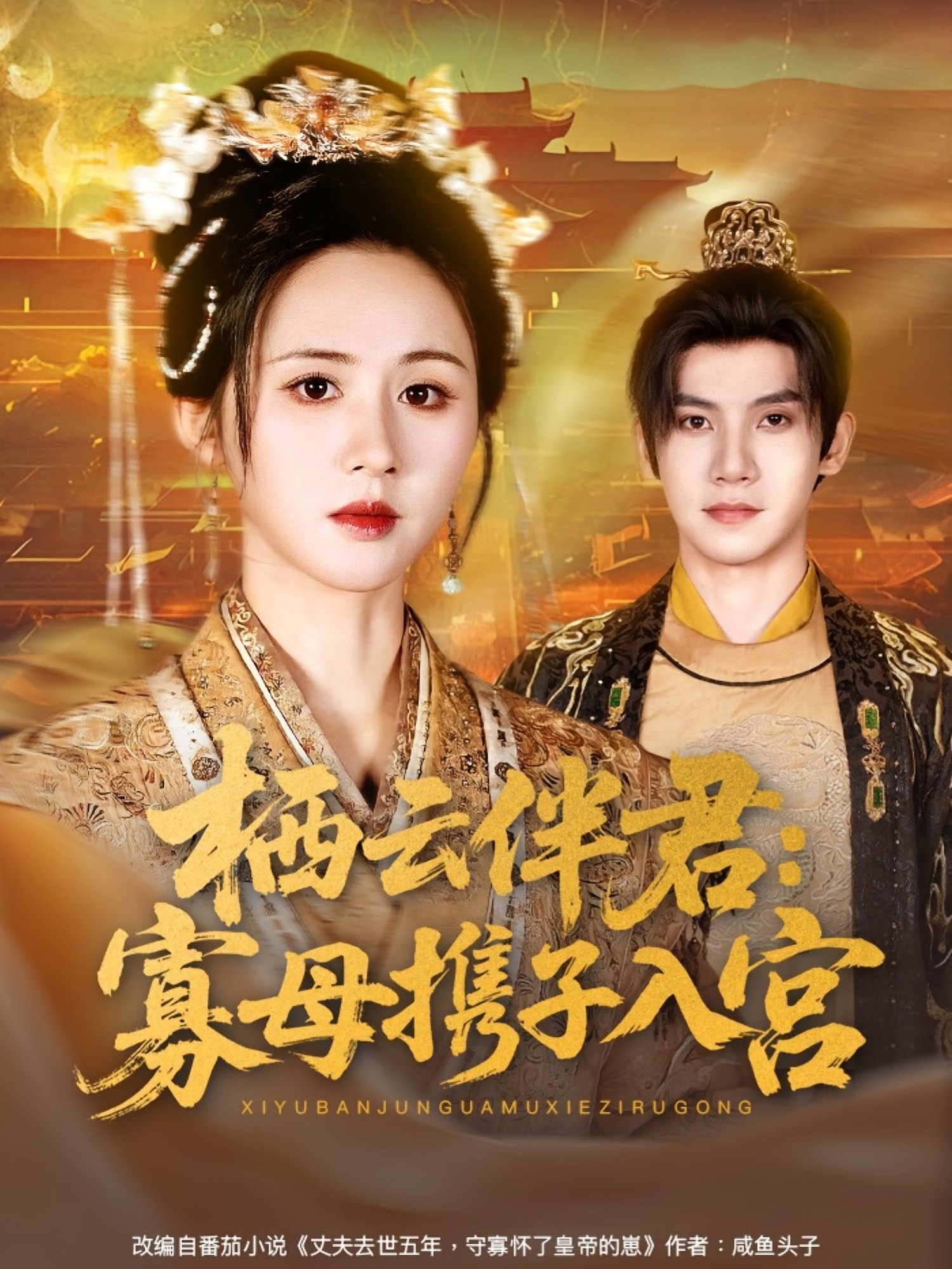 栖云伴君寡母携子入宫 第01集