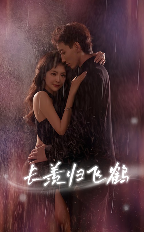 长羡归飞鹤 整合版(大结局)