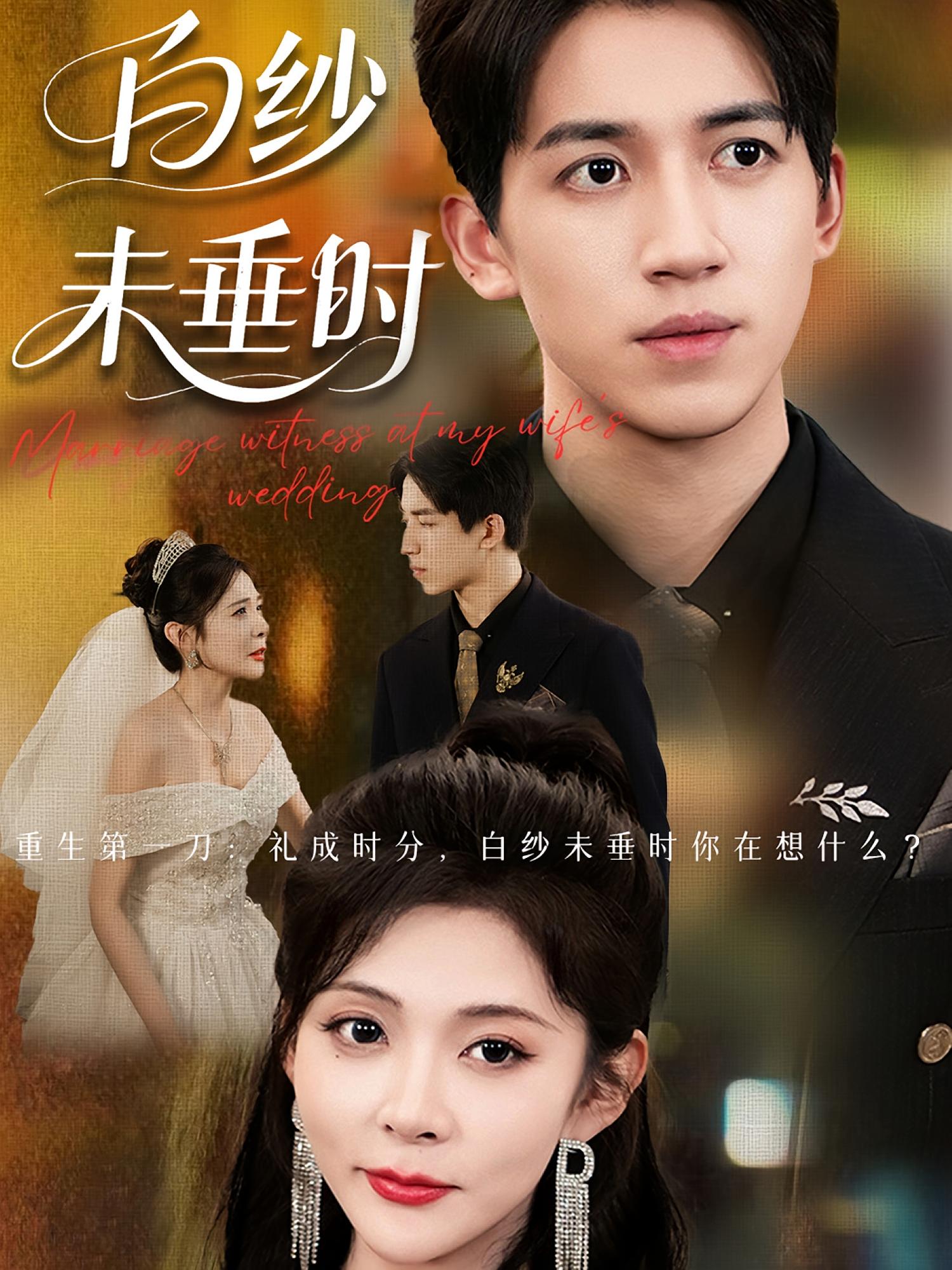 老婆婚礼我当证婚人，白纱未垂时 第44集