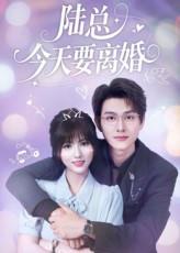 陆总今天要离婚 第38集