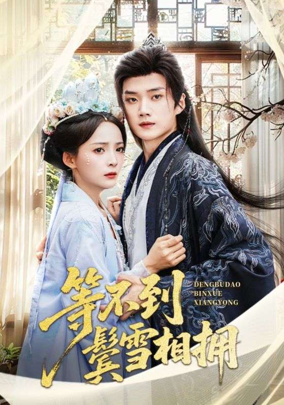 等不到鬓雪相拥 第39集