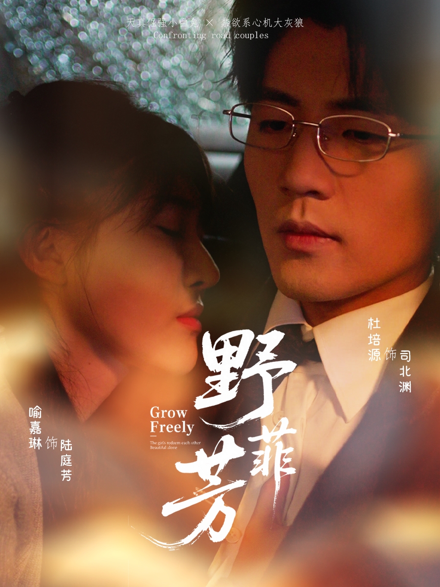 野芳菲 第01集