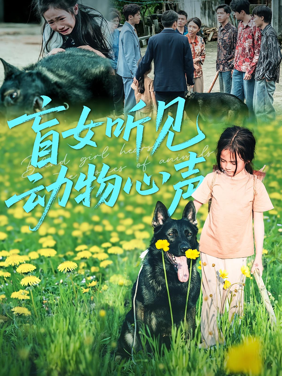 盲女听见动物心声 第39集