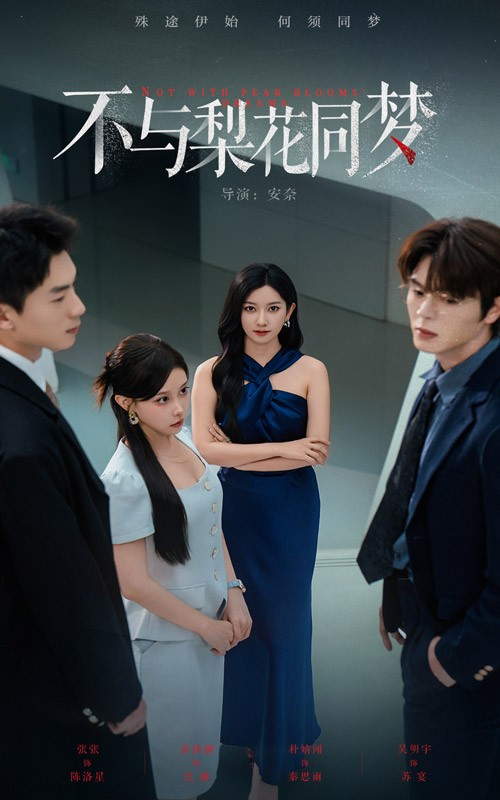 不与梨花同梦 第21集
