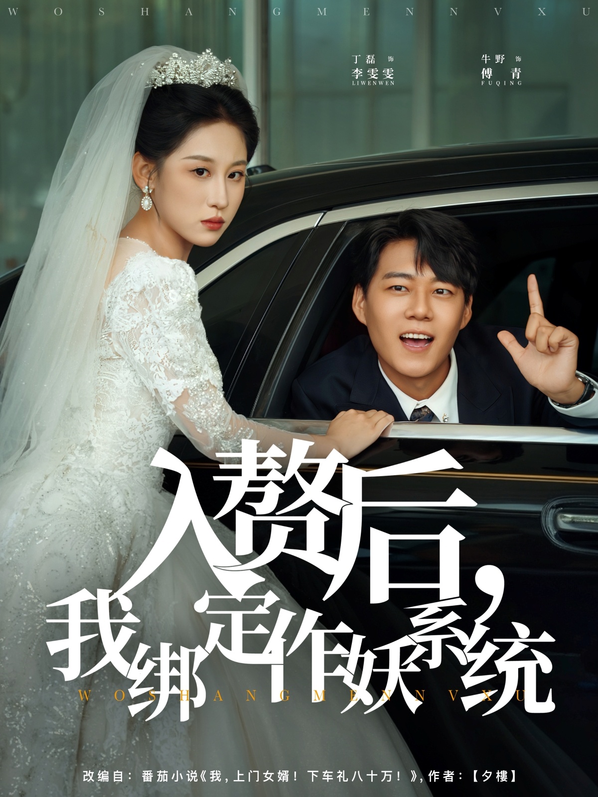 入赘后我绑定作妖系统 第79集