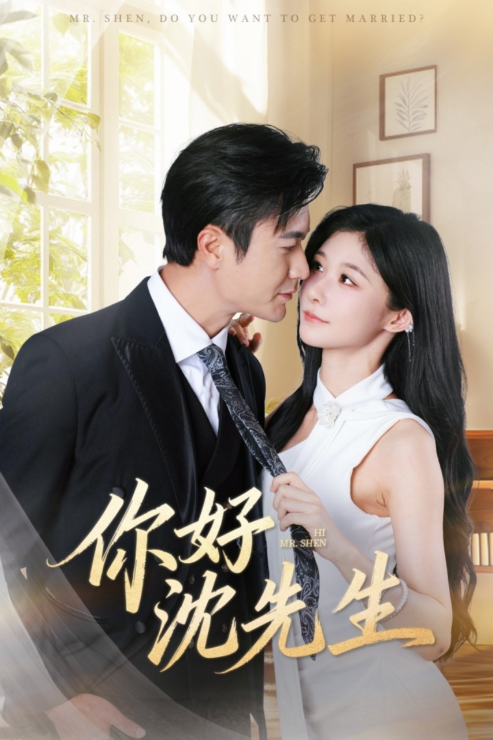 你好沈先生 第39集