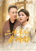 二十年后来闪婚 第01集