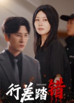 行差踏错 第12集