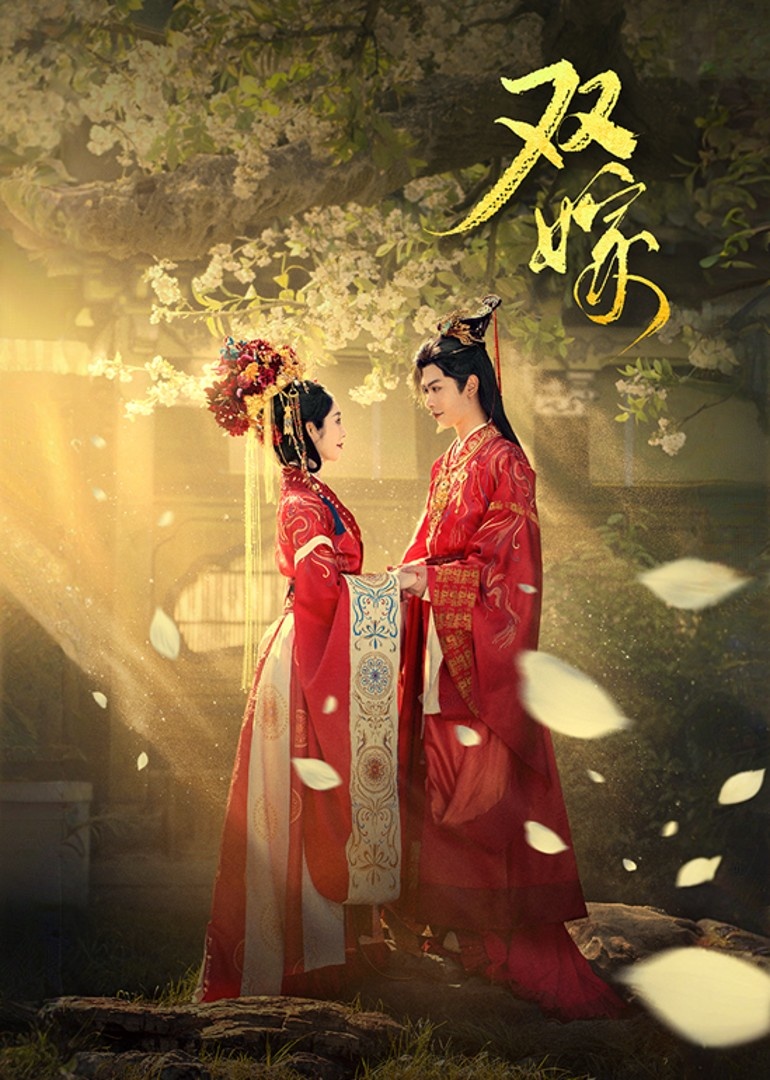 双嫁 第39集