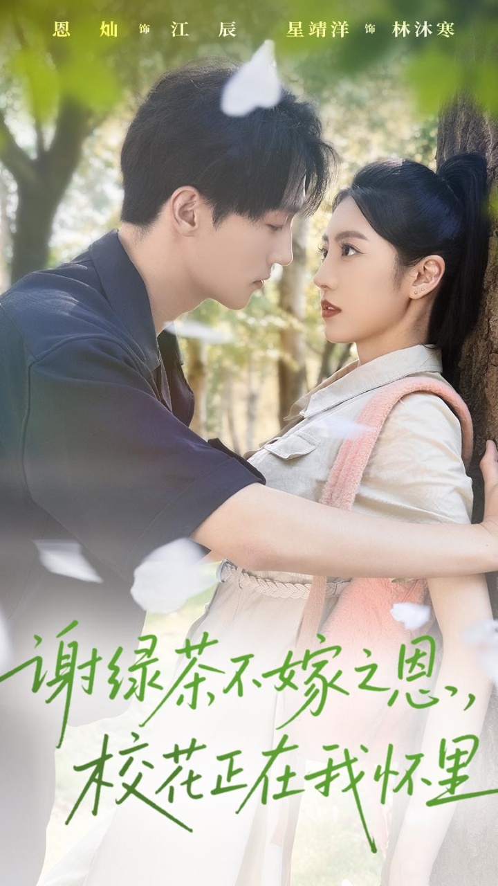 谢绿茶不嫁之恩校花正在我怀里 第12集