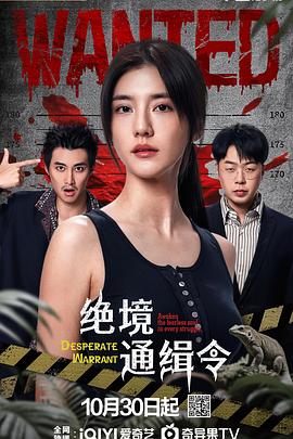绝境通缉令 第11集