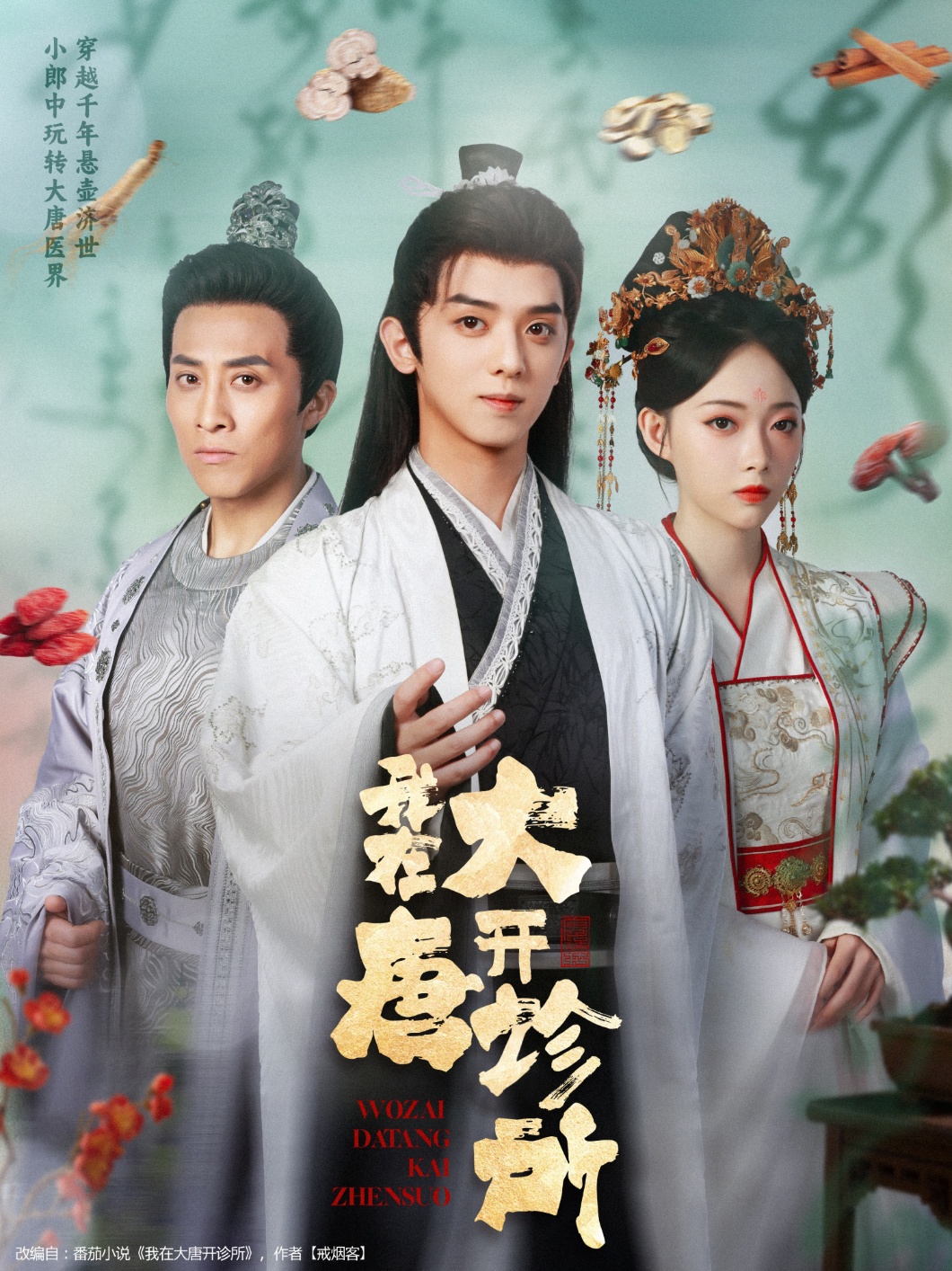 我在大唐开诊所 第11集