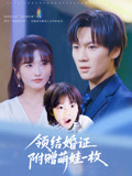 领结婚证附赠萌娃一枚 第26集