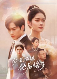 分道扬镳，他后悔了 第30集