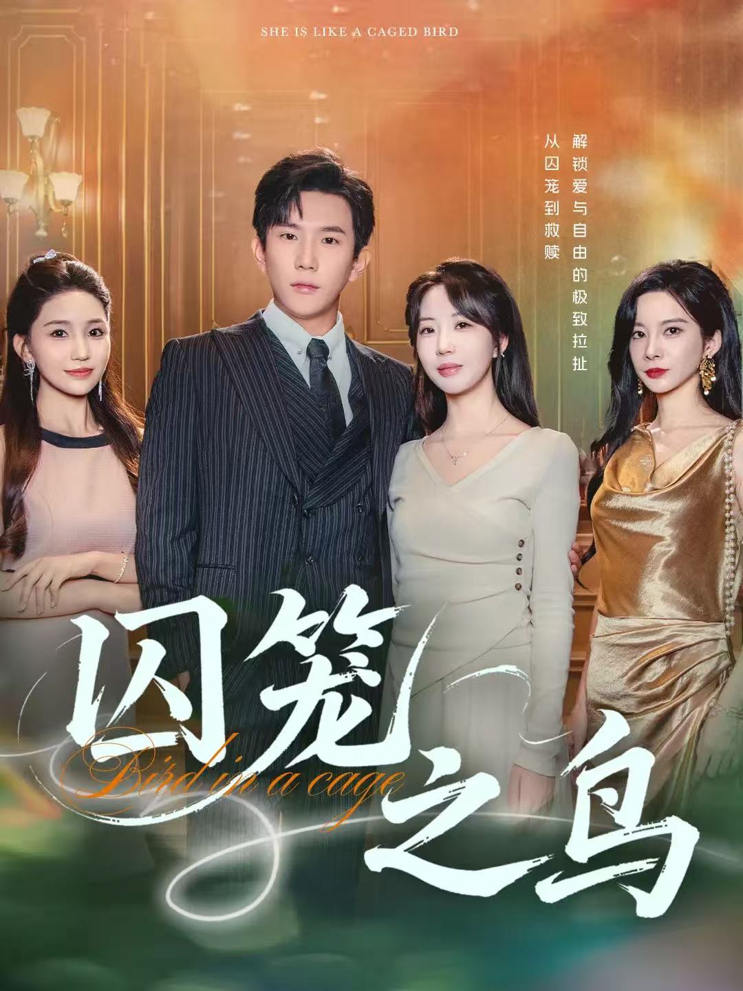 囚笼之鸟 第13集