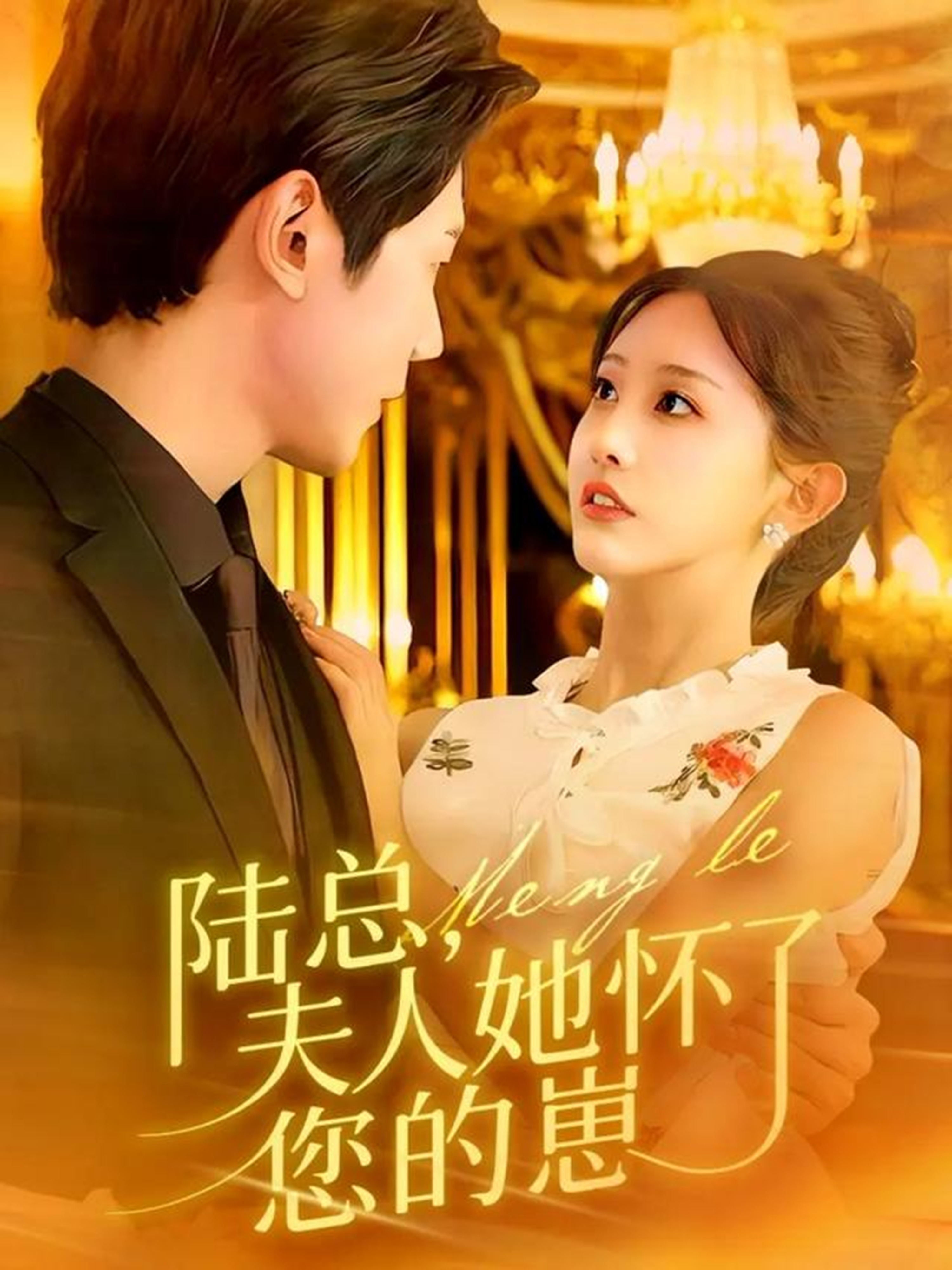 陆总，夫人她怀了您的崽 第19集