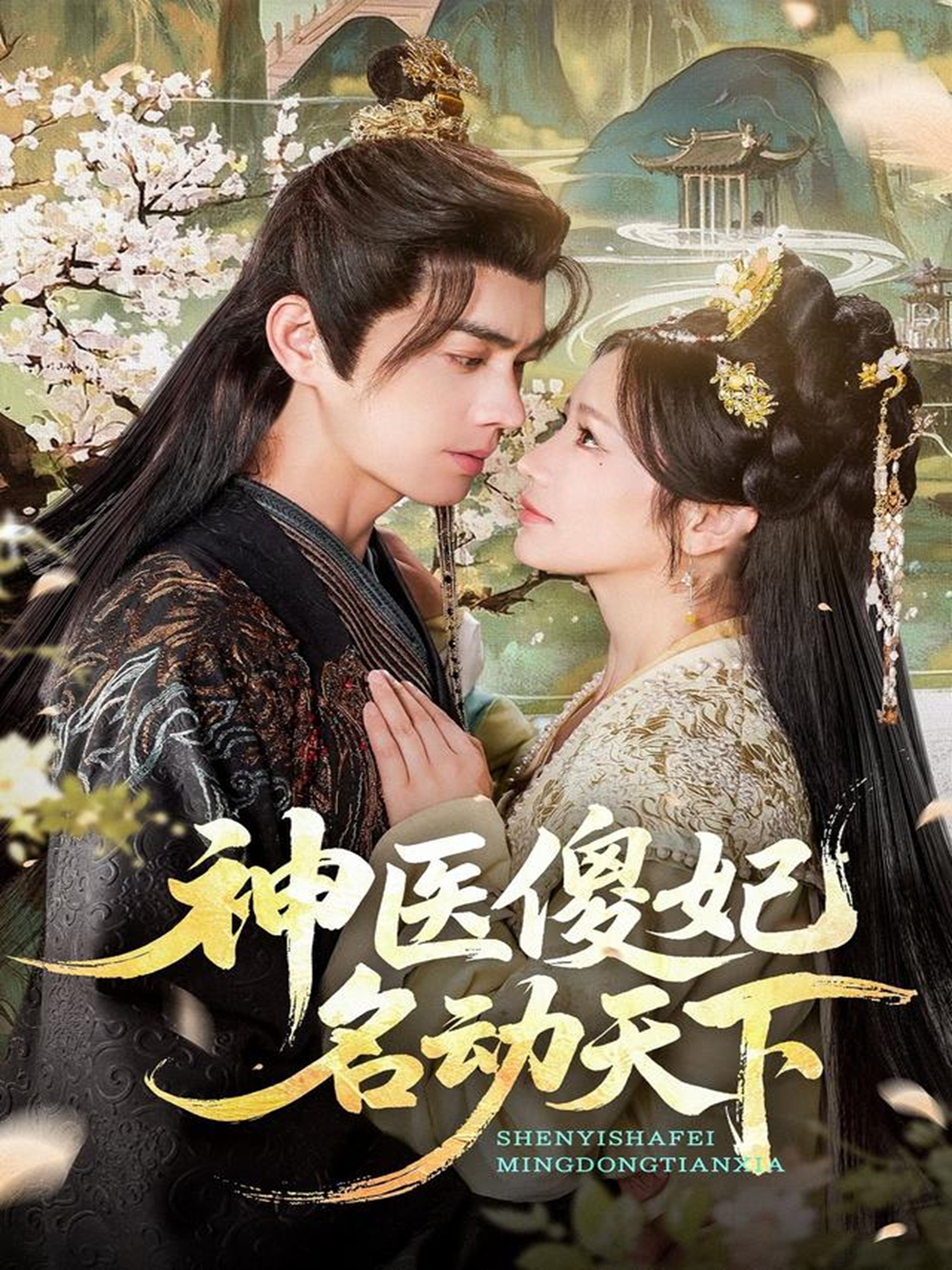 神医傻妃名动天下 第05集