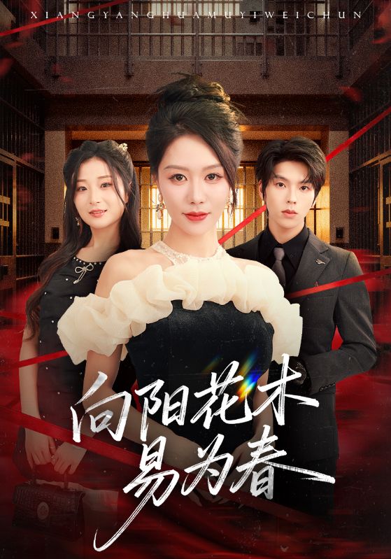 新：向阳花木易为春 第01集