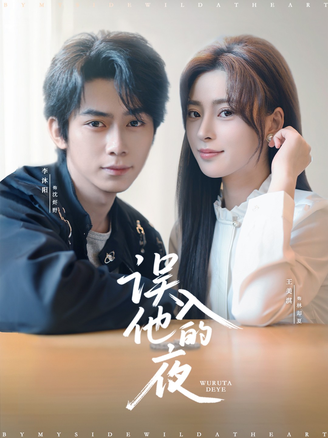 误入他的夜 第31集