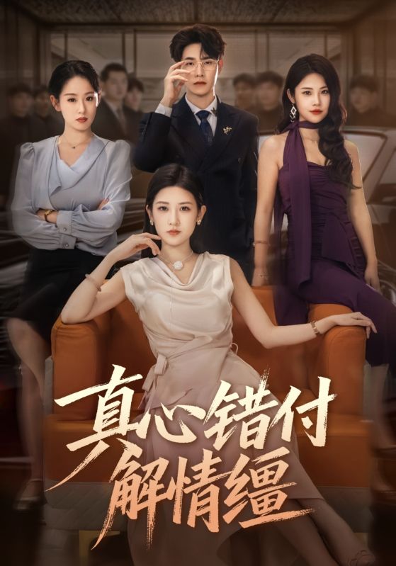 真心错付解情缰 第21集