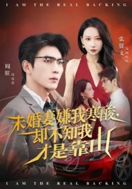 未婚妻嫌我寒酸却不知我才是靠山 第16集