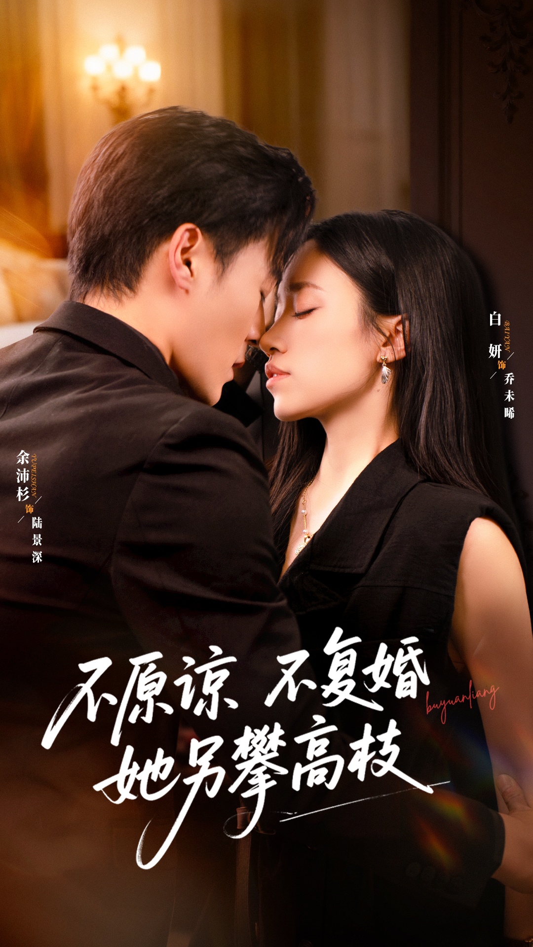 不原谅不复婚她另攀高枝 第26集