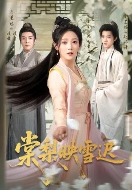 棠梨映雪迟 第39集