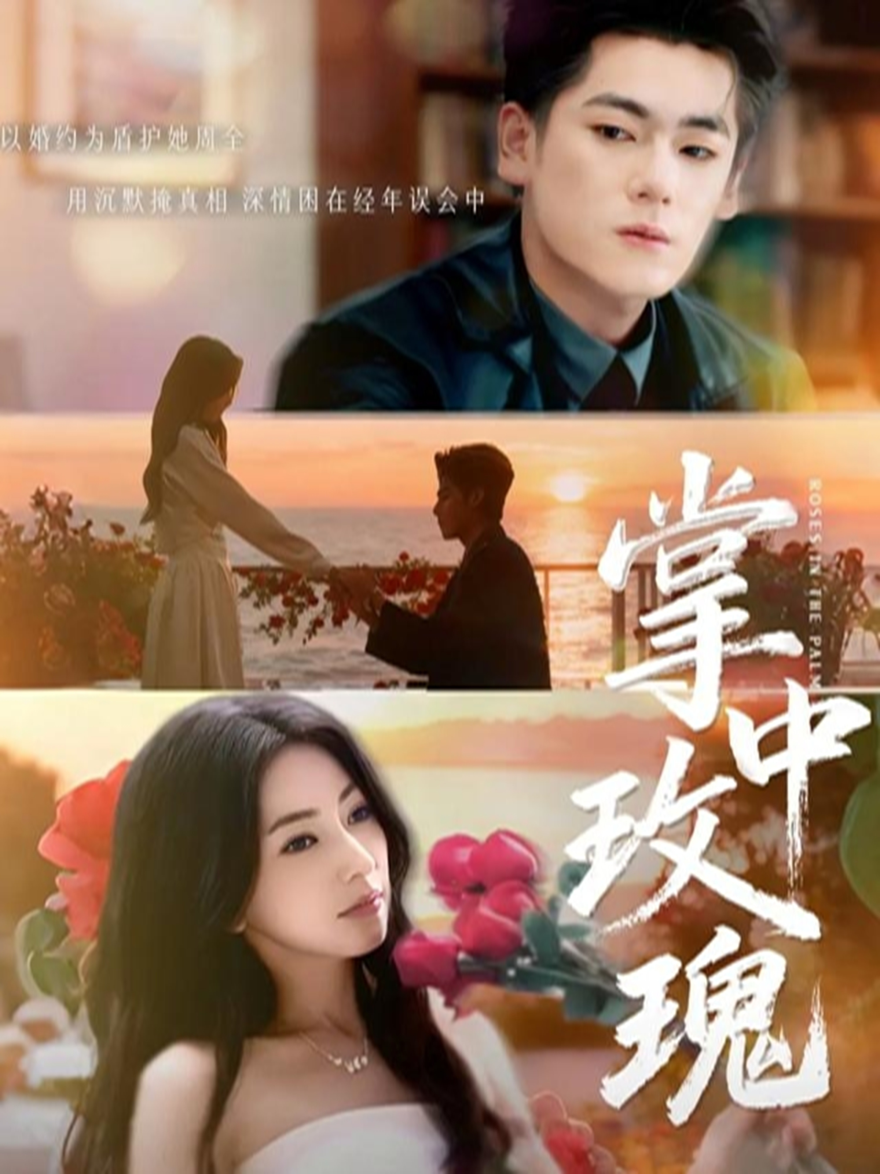 掌中玫瑰 第17集