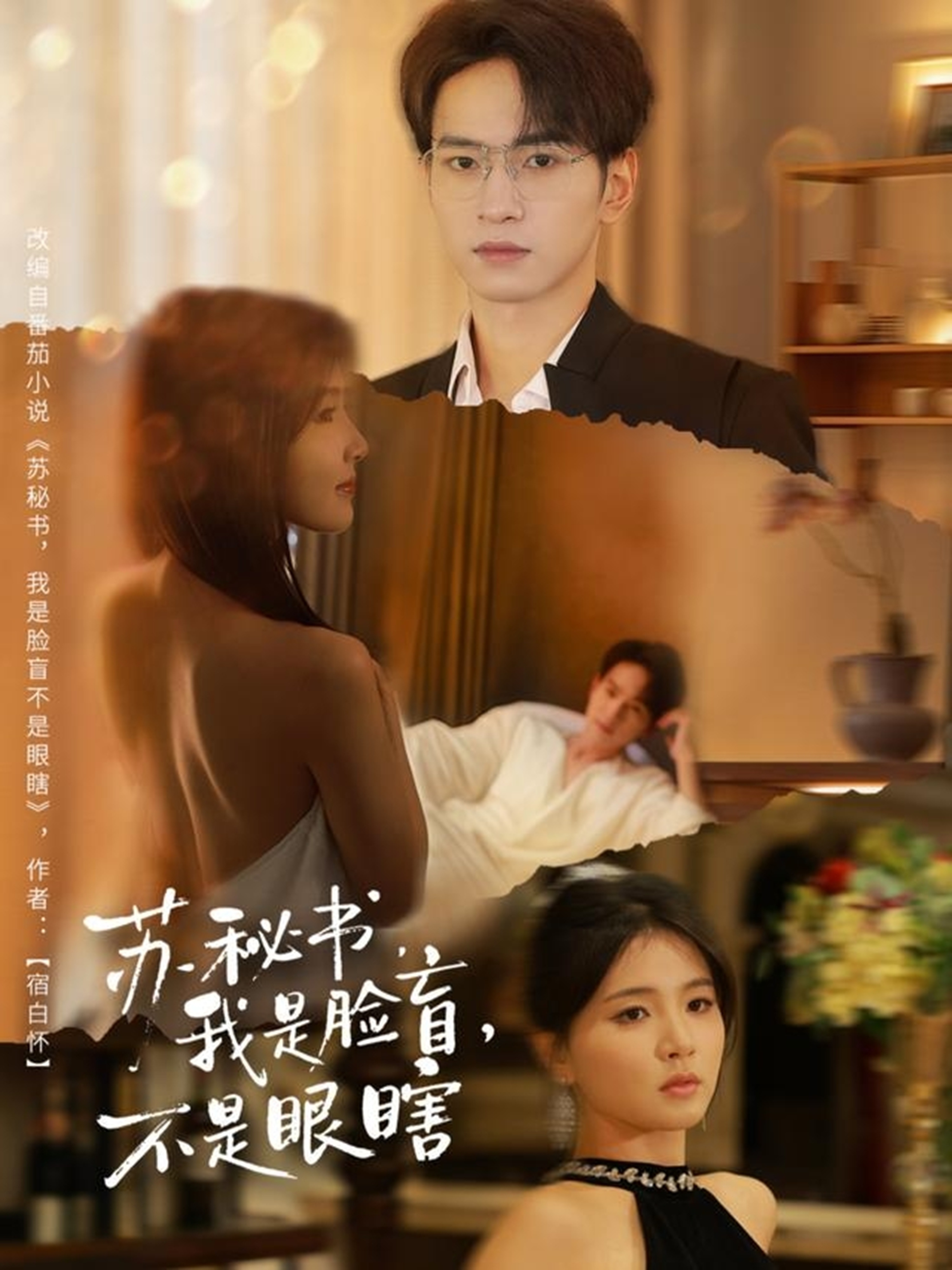 苏秘书我是脸盲不是眼瞎 第01集