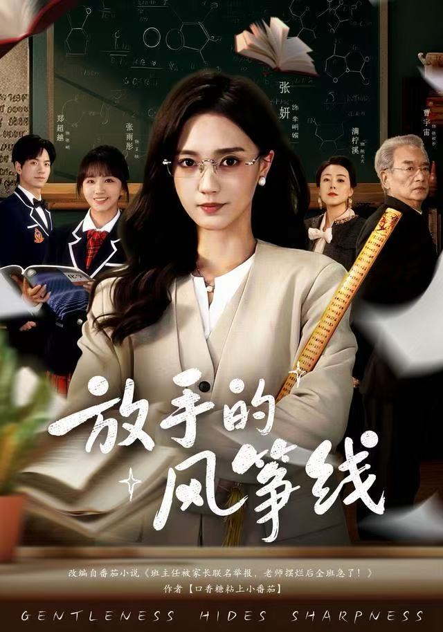 放手的风筝线 第40集