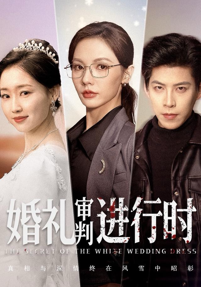 婚礼审判进行时 第15集