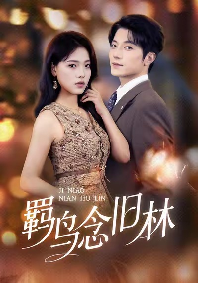 羁鸟念旧林 第51集