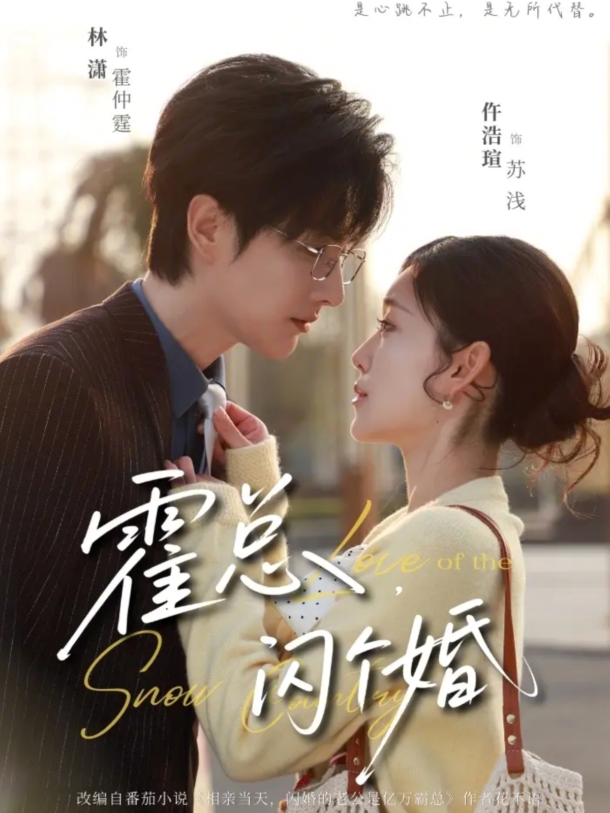 霍总闪个婚 第01集