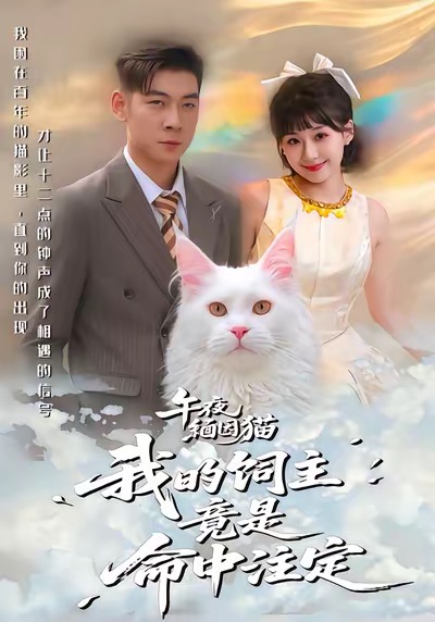 午夜缅因猫我的饲主竟是命中注定 第02集