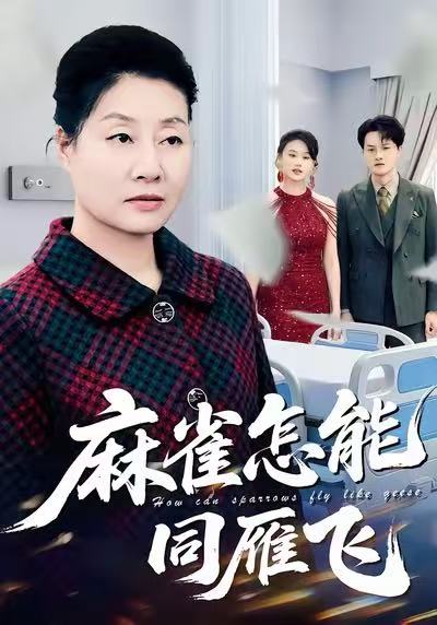 麻雀怎能同雁飞 第58集